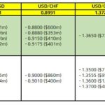 Currency option expires 19 October 10:00 New York outage